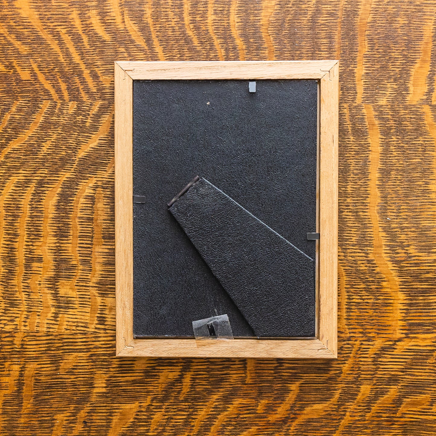 Bird Feathers Retro Framed Art Print