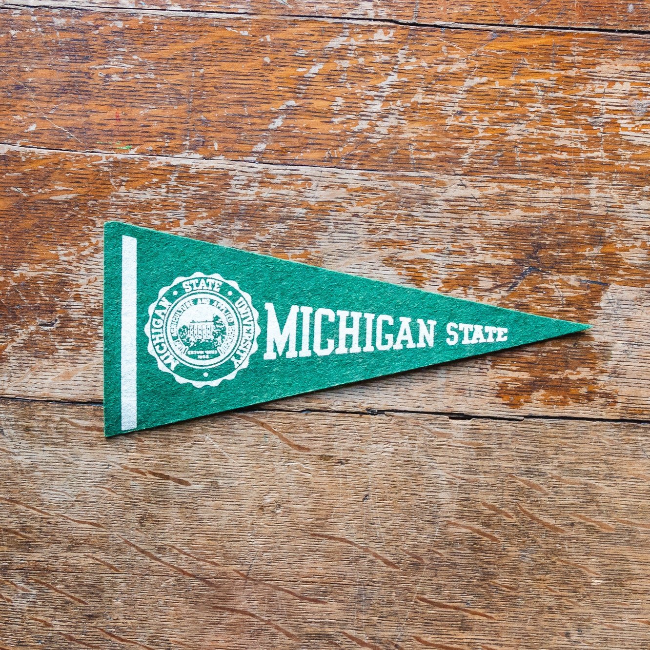 Michigan State University Mini Felt Pennant Vintage MSU Alumni Decor