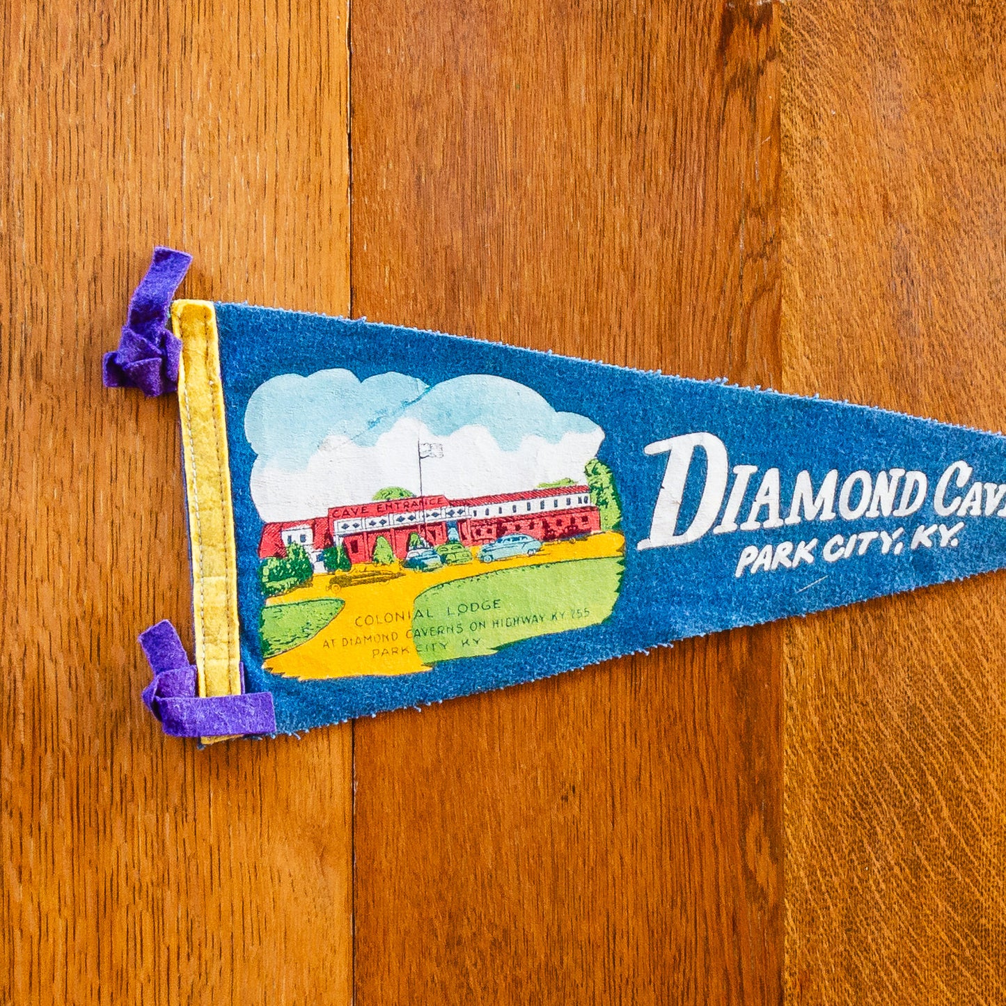 Diamond Caverns, Park City, Kentucky Felt Pennant | Vintage Blue 1950s Cave Souvenir