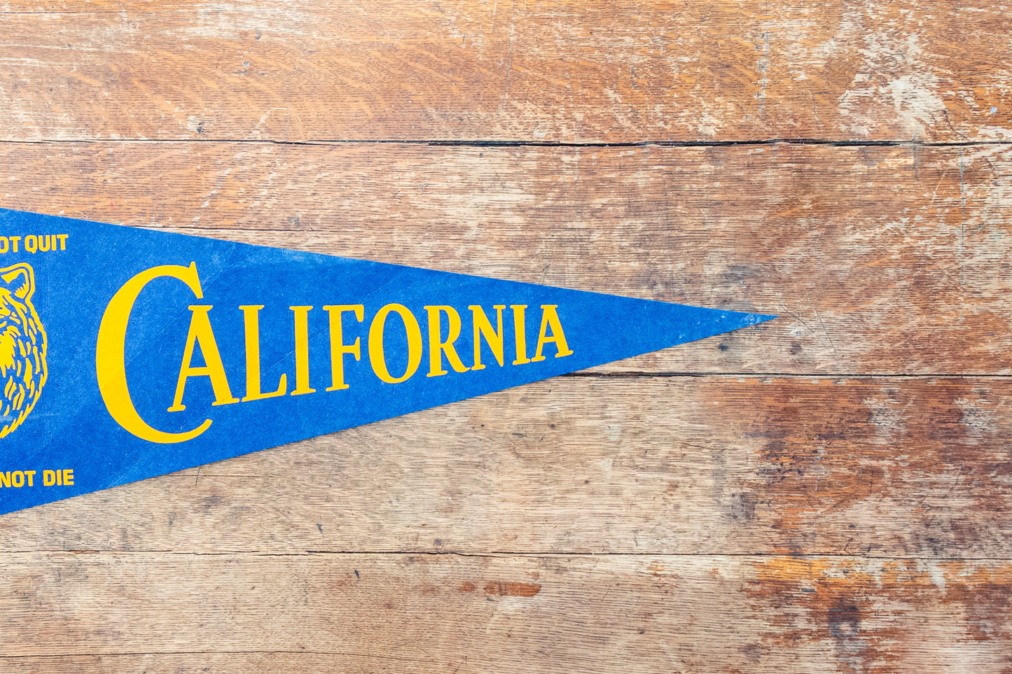 University of California Berkeley Felt Pennant Vintage CAL Bears Wall Decor