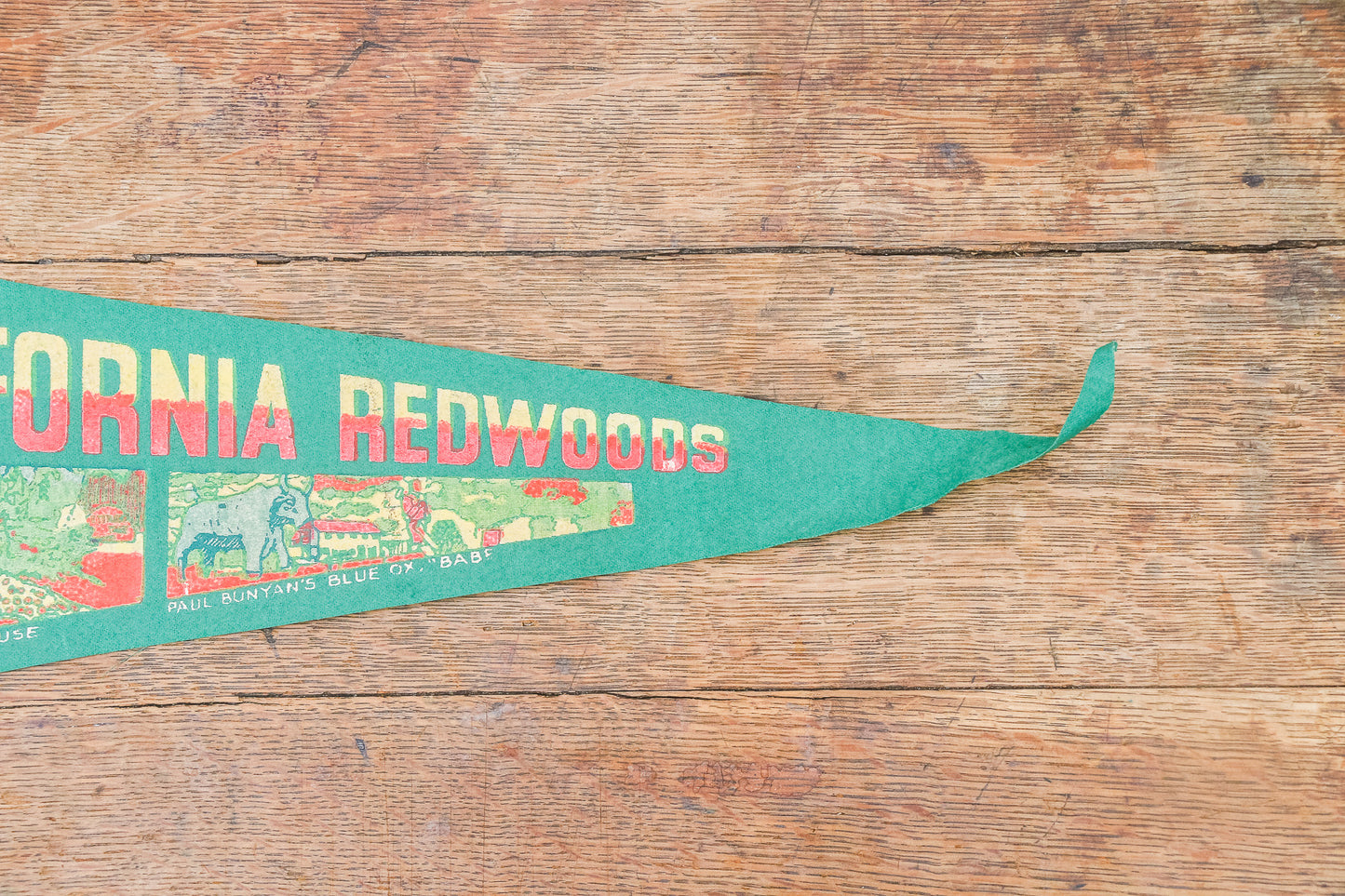 California Redwoods Pennant Vintage Green CA Wall Decor