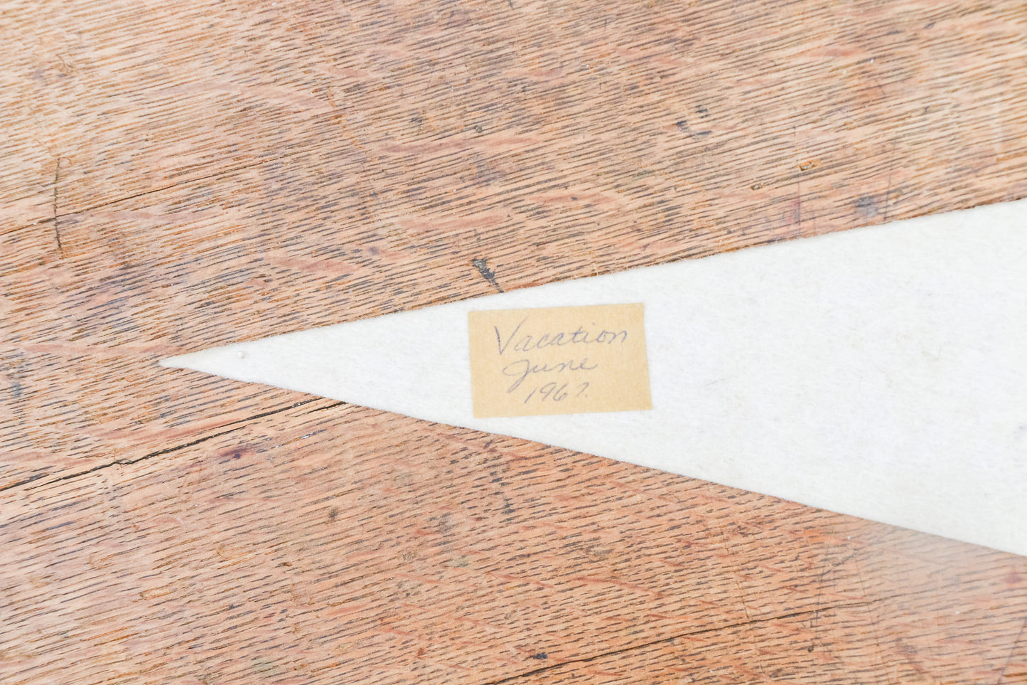 Lake Louise Felt Pennant Vintage White Canada Wall Decor