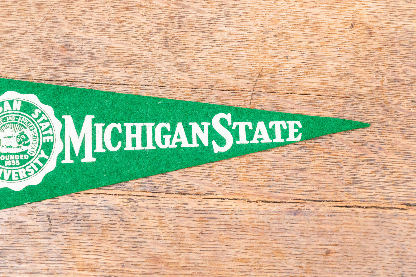 Michigan State University Mini Felt Pennant Vintage College Wall Decor - Eagle's Eye Finds