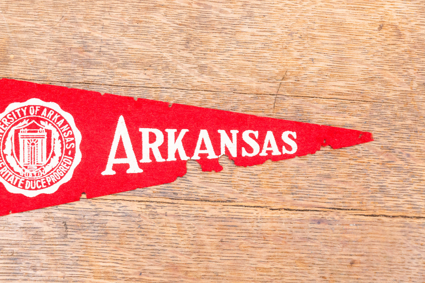 University of Arkansas Mini Felt Pennant Vintage Wall Decor - Eagle's Eye Finds