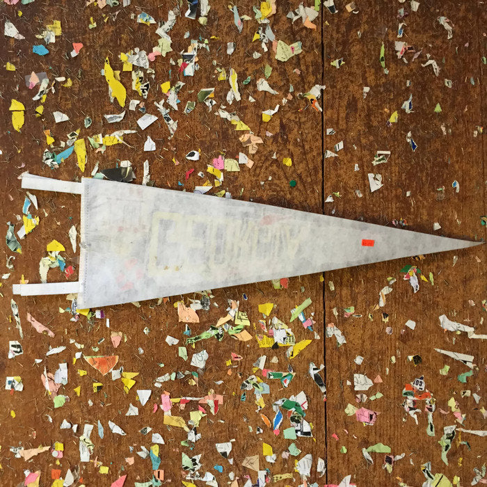 Georgia State Black Felt Pennant Wall Decor - Eagle's Eye Finds