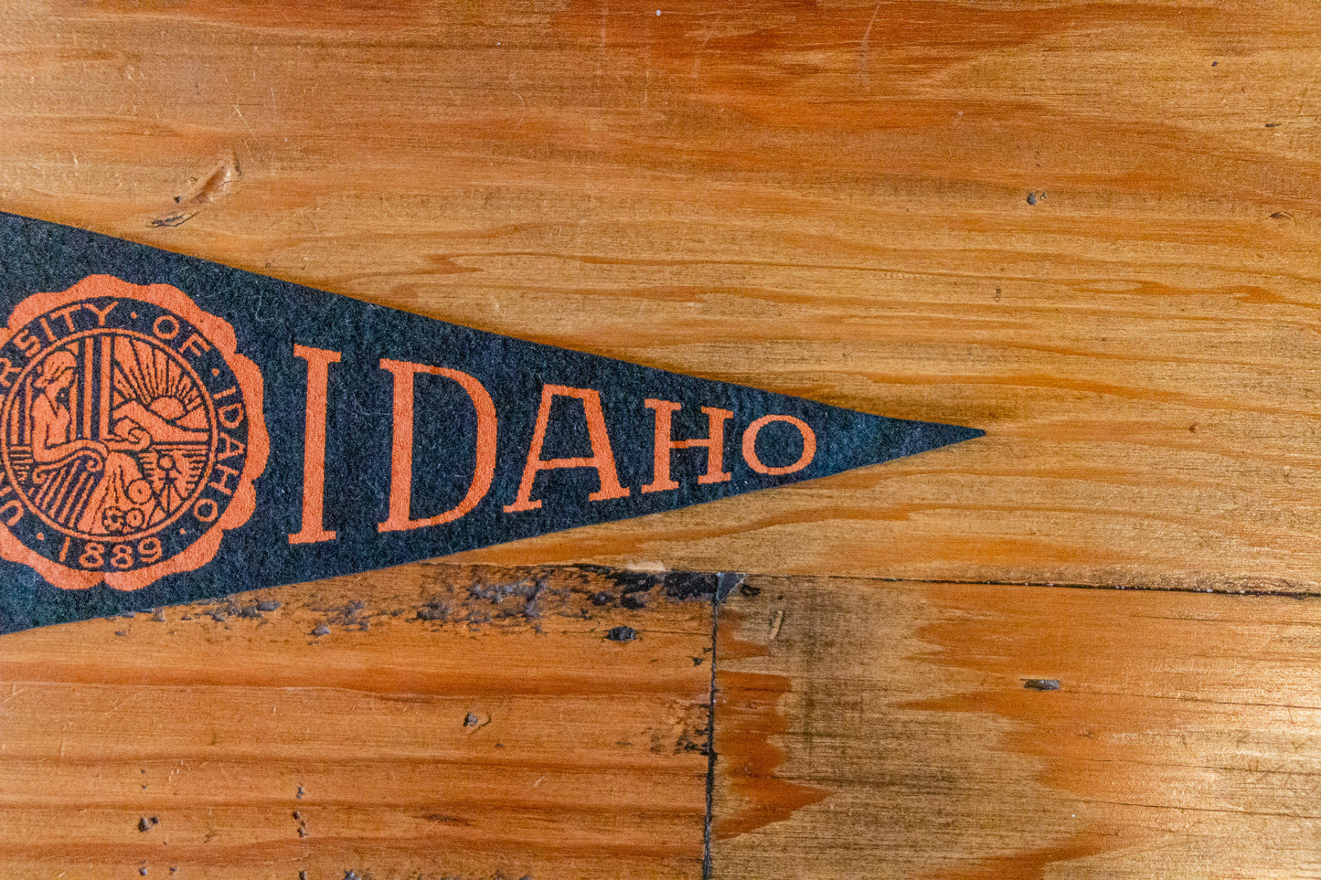 University of Idaho Mini Black Felt Pennant Vintage College Decor - Eagle's Eye Finds