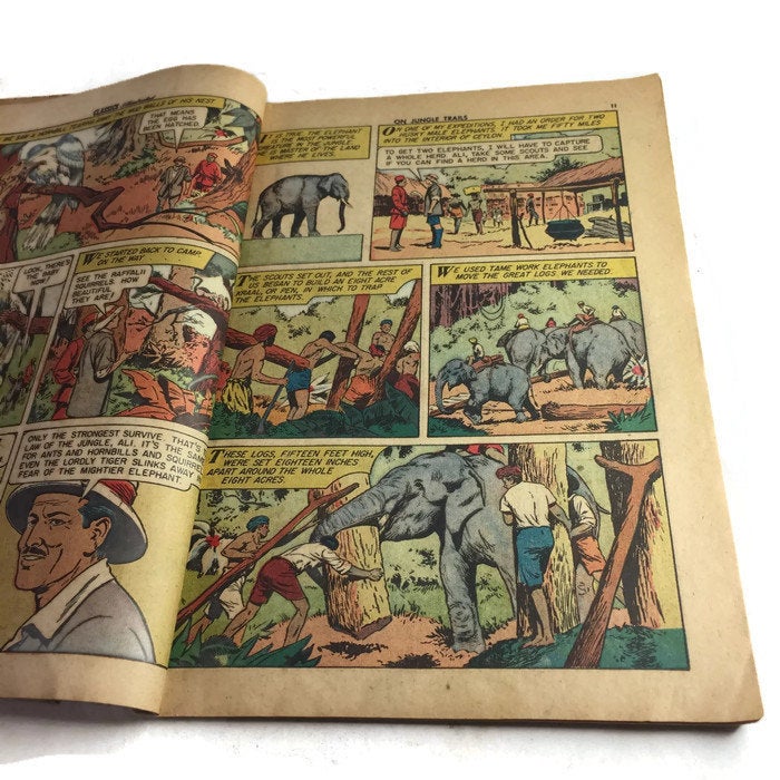 Classics Illustrated On Jungle Trails Vintage Comic Book - Eagle's Eye Finds