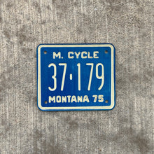 Load image into Gallery viewer, 1975 Montana Motorcycle License Plate Vintage Wall Decor 37179
