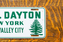 Load image into Gallery viewer, South Dayton License Plate Vintage New York Pine Valley City Christmas Wall Decor
