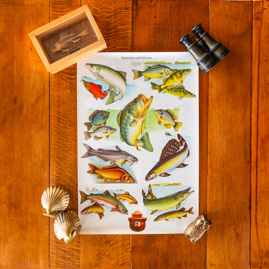 Game Fish Vintage Forest Service Wildlife Poster Wall Decor | Great for Kids