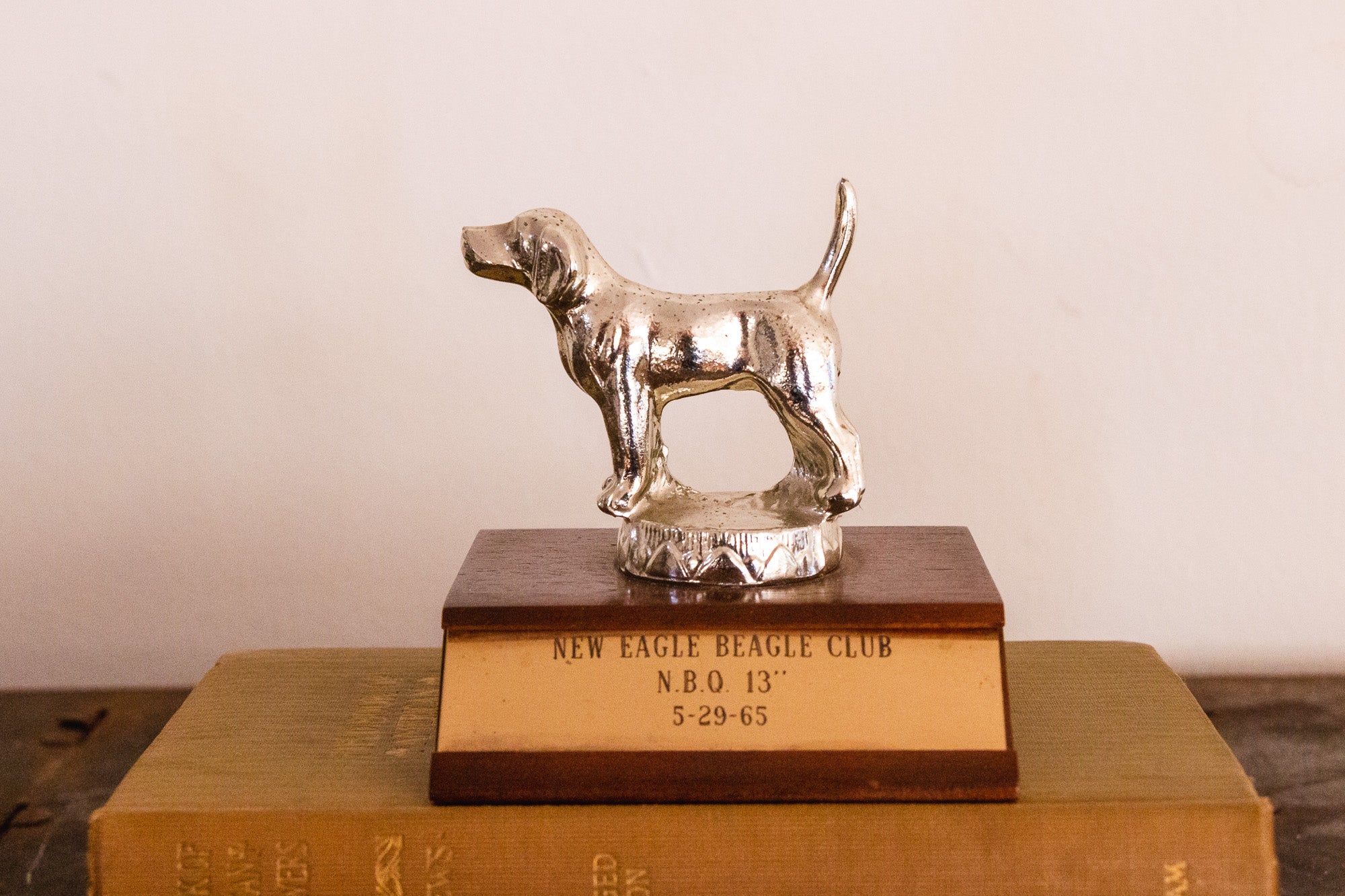 1965 Beagle Dog Show Trophy Vintage Pet Shelf Decor Eagle's Eye Finds