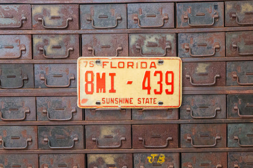 Florida 1975 Dealer License Plate Sunshine State Vintage Wall Decor - Eagle's Eye Finds