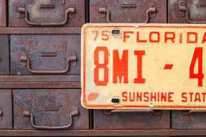 Florida 1975 Dealer License Plate Sunshine State Vintage Wall Decor - Eagle's Eye Finds