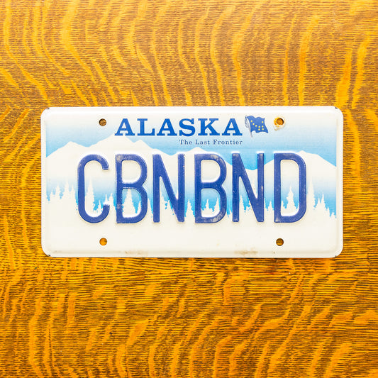1995 Alaska Vanity License Plate CABIN BOUND Vintage Blue Wall Decor