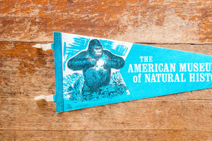 The American Museum of Natural History New York Vintage Blue Felt Pennant