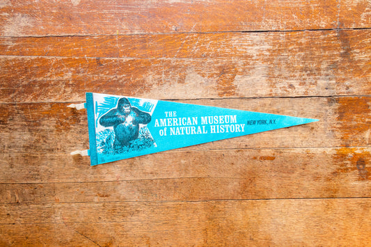 The American Museum of Natural History New York Vintage Blue Felt Pennant