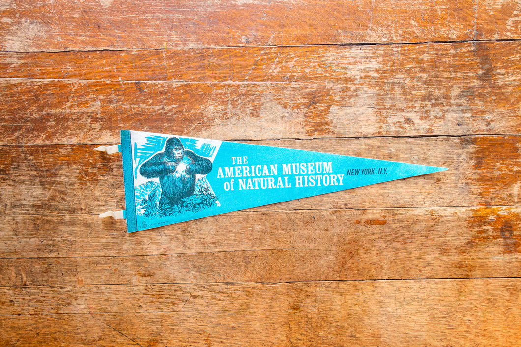 The American Museum of Natural History New York Vintage Blue Felt Pennant