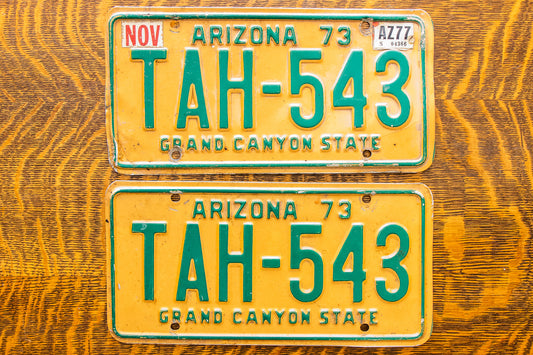 1973 Arizona License Plate Vintage Classic Car Decor Ford Chevy Dodge