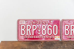 Arizona 1984 Grand Canyon State License Plate Vintage Wall Decor BRP-860 - Eagle's Eye Finds