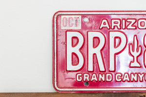 Arizona 1984 Grand Canyon State License Plate Vintage Wall Decor BRP-860 - Eagle's Eye Finds