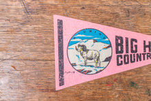 Load image into Gallery viewer, Big Horn Country Wyoming Pennant Vintage Mini Pink Wall Decor - Eagle&#39;s Eye Finds

