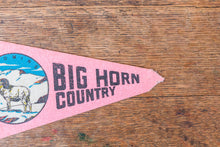 Load image into Gallery viewer, Big Horn Country Wyoming Pennant Vintage Mini Pink Wall Decor - Eagle&#39;s Eye Finds

