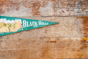 Black Hills South Dakota Felt Pennant Vintage SD Wall Hanging Decor