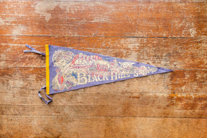 Black Hills South Dakota Felt Pennant Vintage SD Wall Hanging Decor