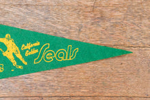 Load image into Gallery viewer, California Golden Seals Mini NHL Pennant Vintage Hockey Sports Decor
