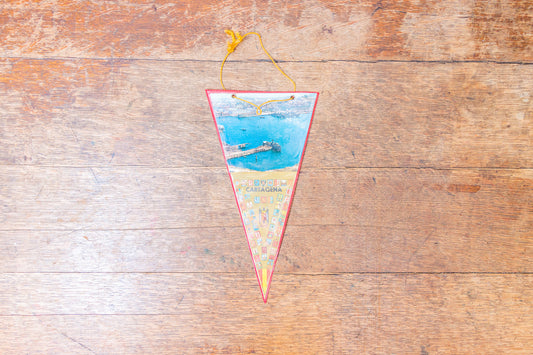 Cartegena Spain Pennant Vintage Travel Wall Decor