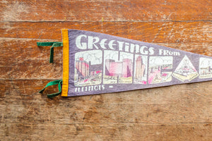 Chicago Felt Pennant Vintage Illinois Grey Wall Decor