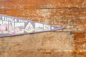 Chicago Felt Pennant Vintage Illinois Grey Wall Decor