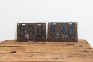 530 Connecticut 1924 License Plate Pair 3 Digit Low Number Vintage Wall Decor - Eagle's Eye Finds