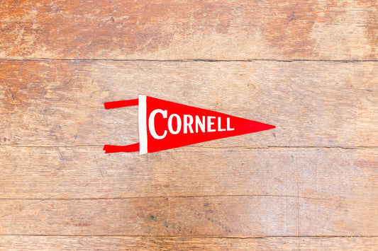 Cornell University Mini Felt Pennant Vintage College Wall Decor - Eagle's Eye Finds