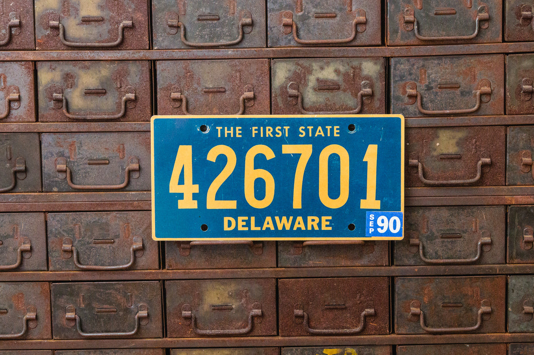 Delaware 1990 License Plate Vintage Blue Wall Decor - Eagle's Eye Finds