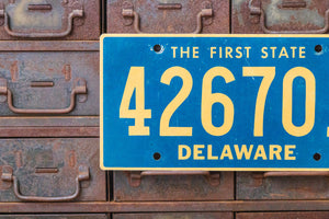 Delaware 1990 License Plate Vintage Blue Wall Decor - Eagle's Eye Finds