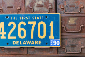 Delaware 1990 License Plate Vintage Blue Wall Decor - Eagle's Eye Finds