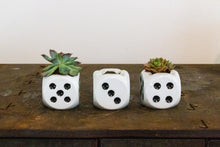 Load image into Gallery viewer, Dice Ashtrays Vintage Japan Vintage Mid-Century Succulent Planter
