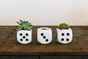 Dice Ashtrays Vintage Japan Vintage Mid-Century Succulent Planter