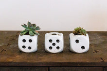 Load image into Gallery viewer, Dice Ashtrays Vintage Japan Vintage Mid-Century Succulent Planter
