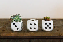 Load image into Gallery viewer, Dice Ashtrays Vintage Japan Vintage Mid-Century Succulent Planter
