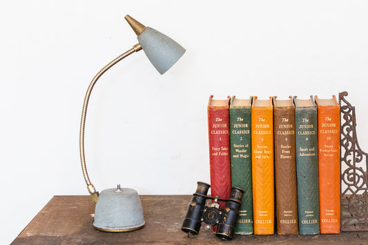 Eagle Hi-Lite Desk Lamp Vintage Mid-Century Gooseneck Bullet Lamp