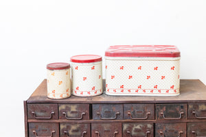 Small Empeco Canister Tin Chic Kitchen Storage Decor Vintage Red Polka Dots and Leaves - Eagle's Eye Finds