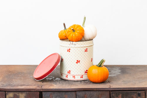 Empeco Canister Tin Chic Kitchen Storage Decor Vintage Red Polka Dots and Leaves - Eagle's Eye Finds