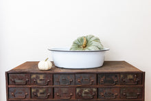 Load image into Gallery viewer, Enamelware Tub Vintage Maid of Honor Porcelain Washing Basin - Eagle&#39;s Eye Finds
