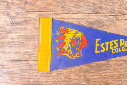 Estes Park Colorado Felt Pennant Vintage Blue National Park Wall Decor - Eagle's Eye Finds