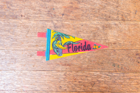Florida Colorful Felt Pennant Vintage Mini Wall Decor - Eagle's Eye Finds