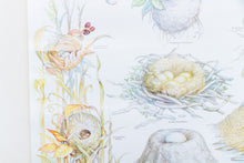 Load image into Gallery viewer, Bird Nest Conservation Vintage Forest Service Poster Wall Decor

