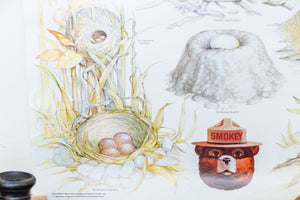 Bird Nest Conservation Vintage Forest Service Poster Wall Decor