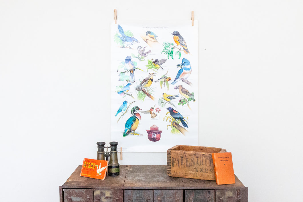 Bird Conservation Vintage Forest Service Poster Wall Decor